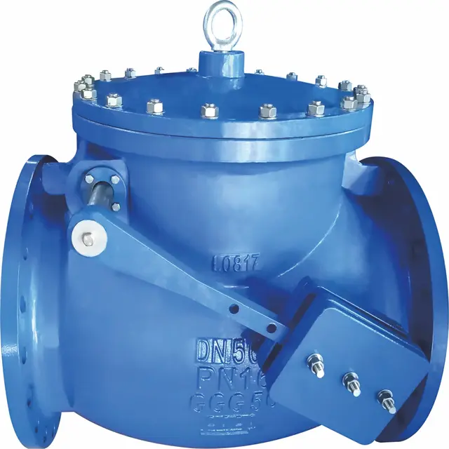 1 swing check valve 1