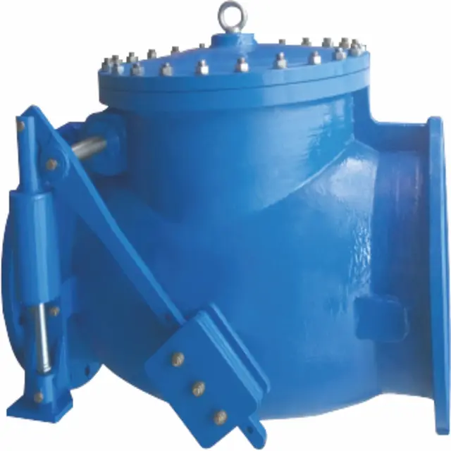 1 swing check valve 2