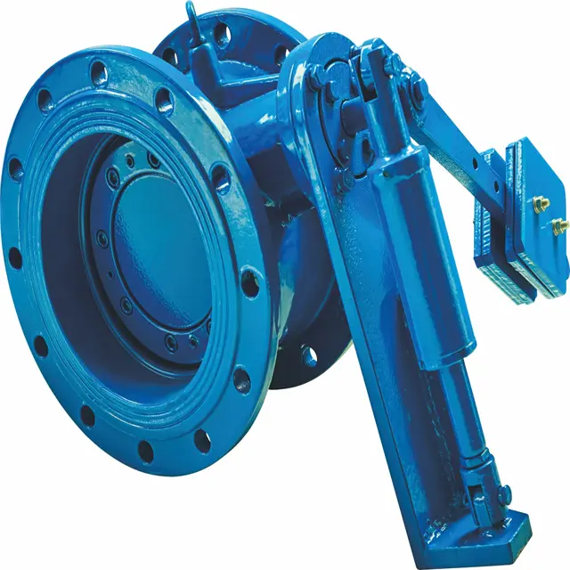 2 butterfly check valve 2