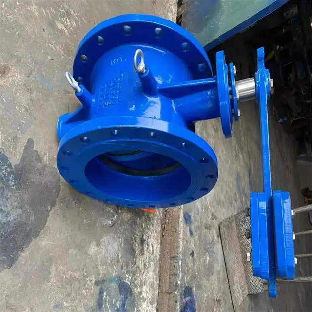 2 butterfly check valve 3