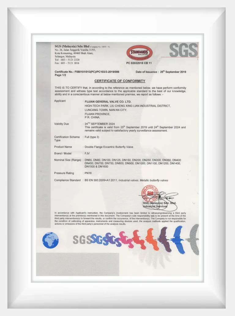 BS EN 593-DF1