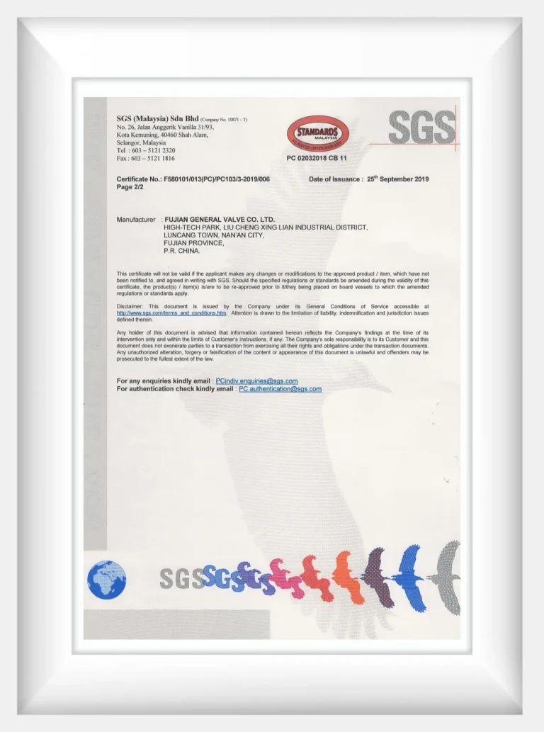 BS EN 593-DF2