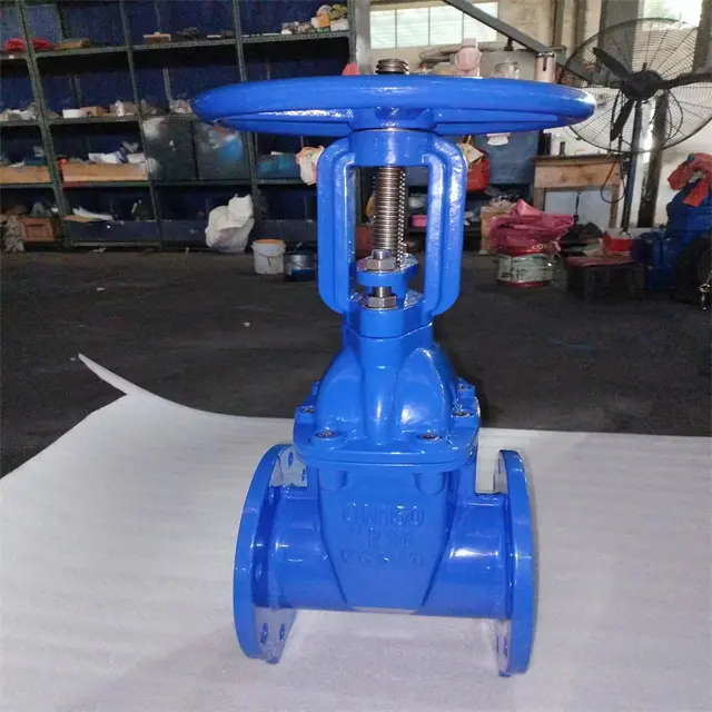 BS5163 gate valve 2