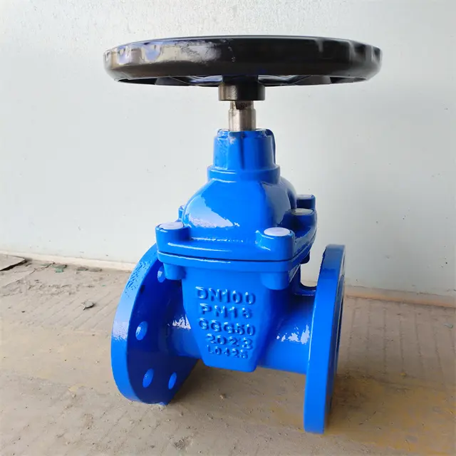 BS5163 gate valve 4