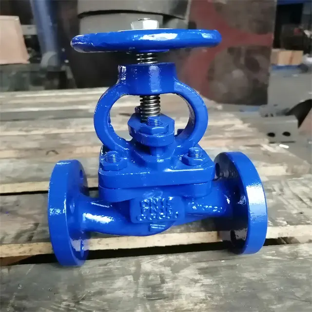 DIN globe valve 2