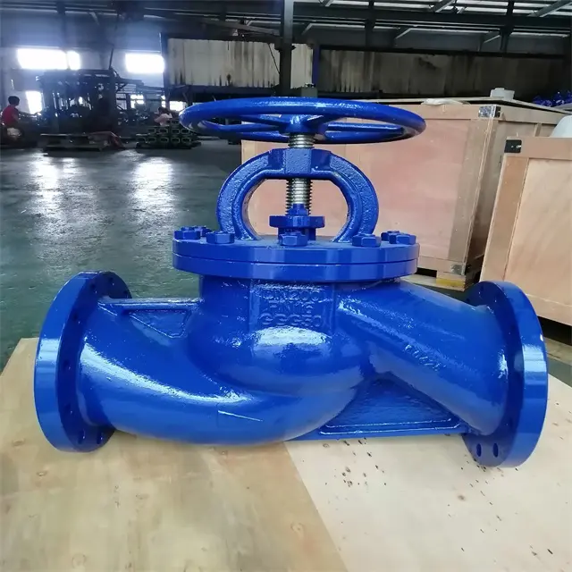 DIN globe valve 3