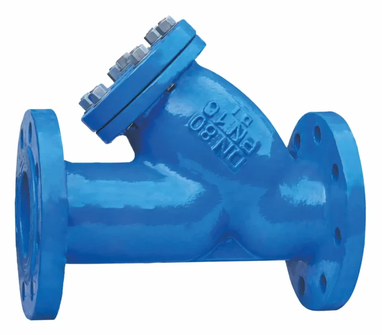Y type strainer