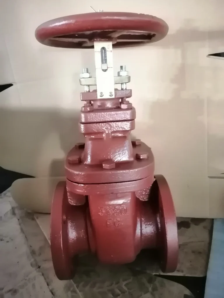marine cast iron gate valve 2
